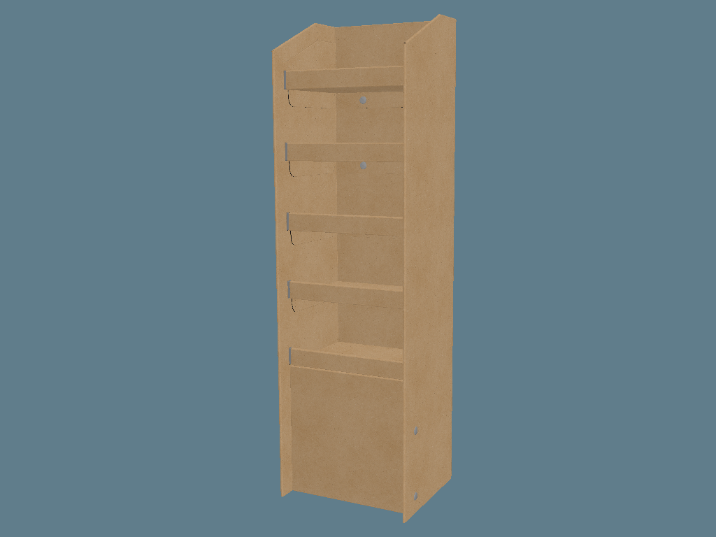 EVC62013_1 Shelf Display with Supports