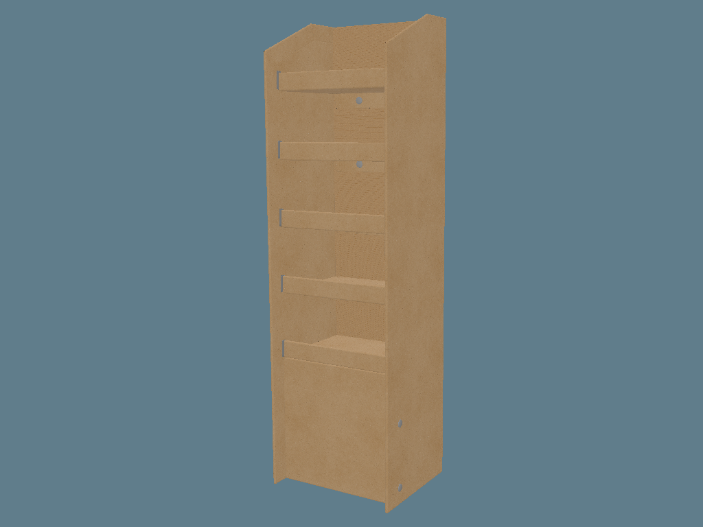 EVC62013_2 Shelf Display with Supports